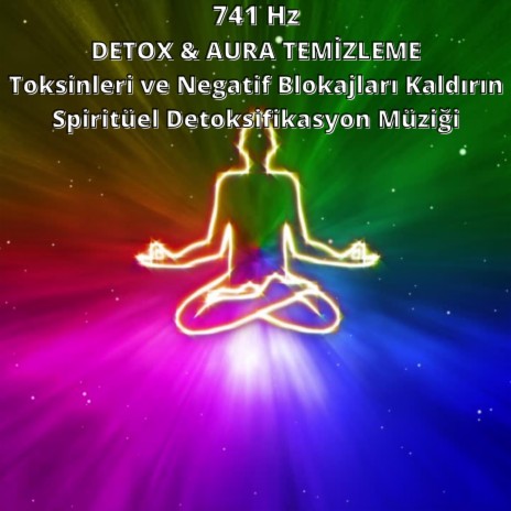 741 Hz ❯ DETOX & AURA TEMİZLEME❯Toksinleri ve Negatif Blokajları Kaldırın ❯ Spiritüel Detoksifikasyon Müziği | Boomplay Music