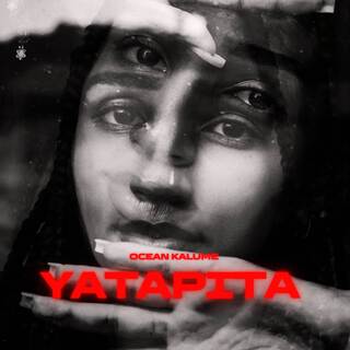 Yatapita (Remix)