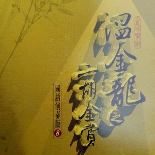 温金龙之二胡金赏 Vol.8 (国语演奏版)