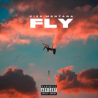 Fly