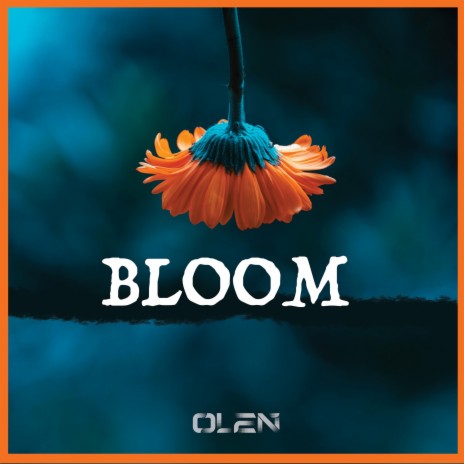 Bloom | Boomplay Music