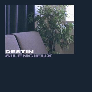 Destin silencieux