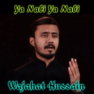 Wajahat Hussain