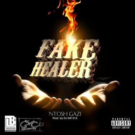 Fake Healer | Boomplay Music