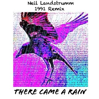 There Came A Rain (Neil Landstrumm Remix)