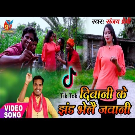 Tik-Tok Diwani Ke Jhand Bhaile Jawani (Bhojpuri Song)