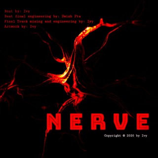 Nerve