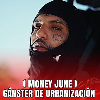 Ganster De Urbanizacion