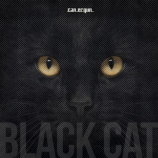 Black Cat