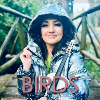 Birds (Violin Instrumental)