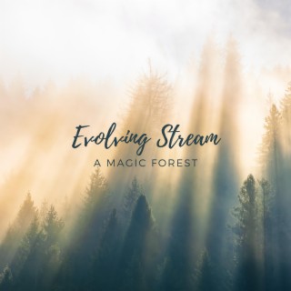 Evolving Stream