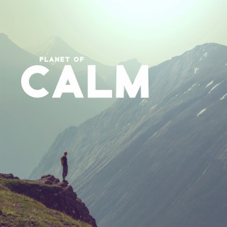 Planet of Calm: Relaxing Instrumental Music for Sleep, Stress Relief and Meditation