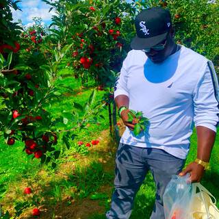 Apple Picking Freestyle