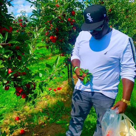 Apple Picking Freestyle | Boomplay Music