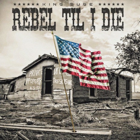 Rebel till I Die (Radio Edit) | Boomplay Music