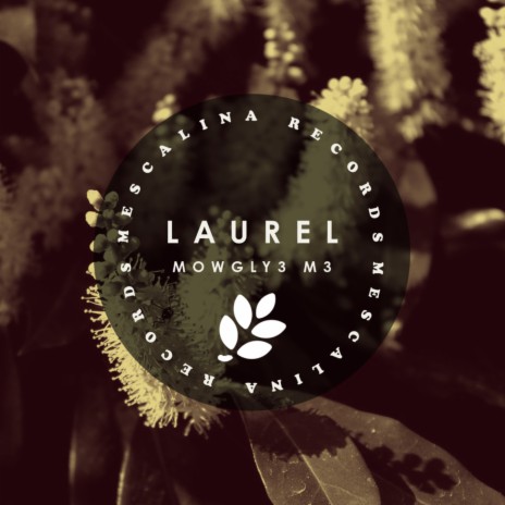 Laurel | Boomplay Music