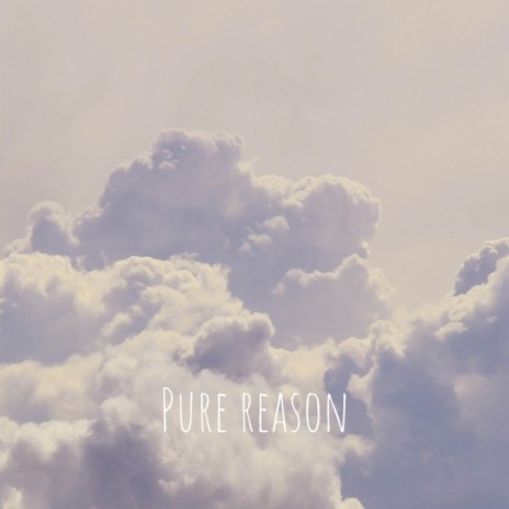 Pure reason (Original Mix)