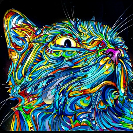 Psy cat | Boomplay Music
