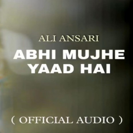 Abhi Mujhe Yaad Hai Kingo Ali Ansari | Boomplay Music