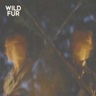Wild Fur