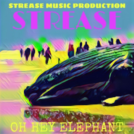 OH HEY ELEPHANT | Boomplay Music