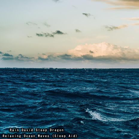 Oceanside Waves