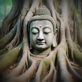 Bodhisattva's Quest: Walking the Compassionate Path, Bodhi Forest Bathing, Healing Relaxation Tunes