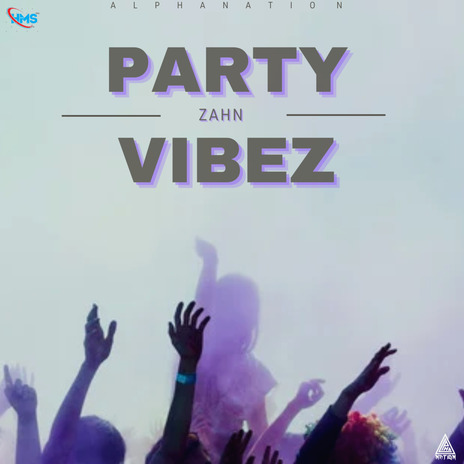 Party Vibez | Boomplay Music