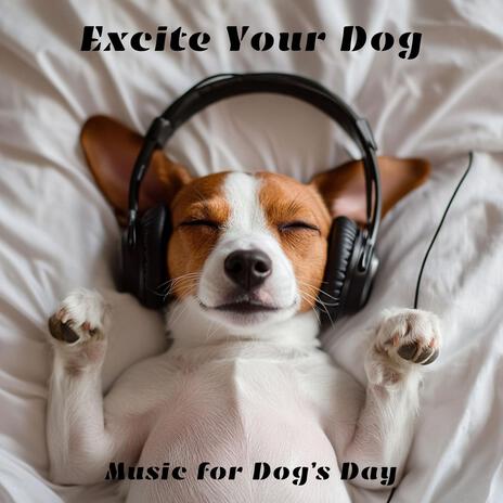 Tail-Wagging Tunes ft. Dog Sleep Dream, Dog Hour, Dog Music! & Pet Music | Boomplay Music