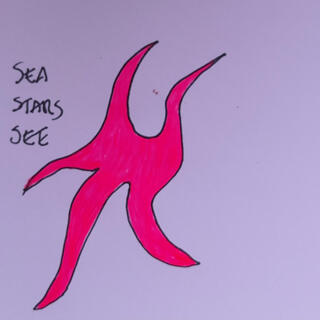 Sea Stars See.