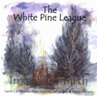 White Pine League