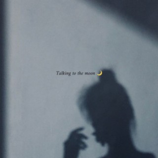 Talking To The Moon