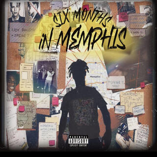 6 months in memphis