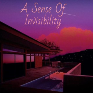 A Sense of Invisibility