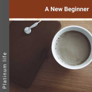 A New Beginner