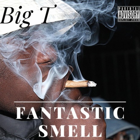 Fantastic Smell | Boomplay Music