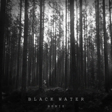 Black Water | Boomplay Music