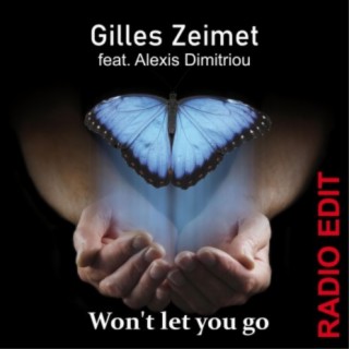Won't let you go (Radio Edit)