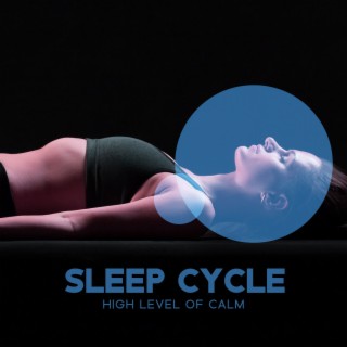 Sleep Cycle: High Level of Calm
