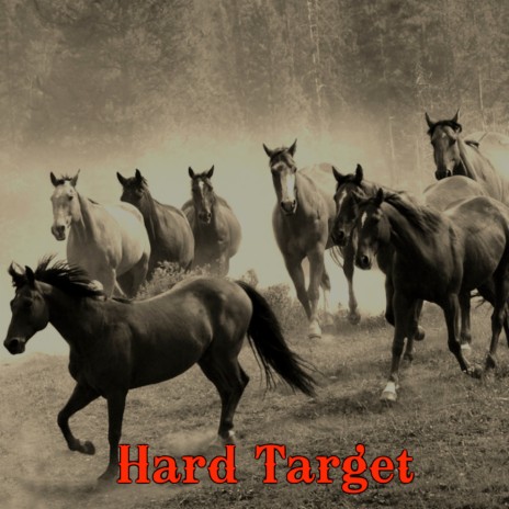 Hard Target | Boomplay Music
