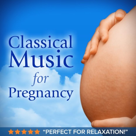 Pachelbel Canon | Boomplay Music