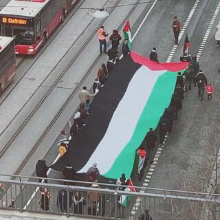 Befria Palestina