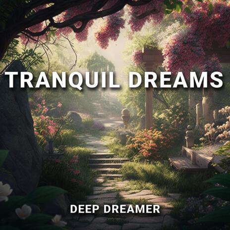 Tranquil Dreams | Boomplay Music