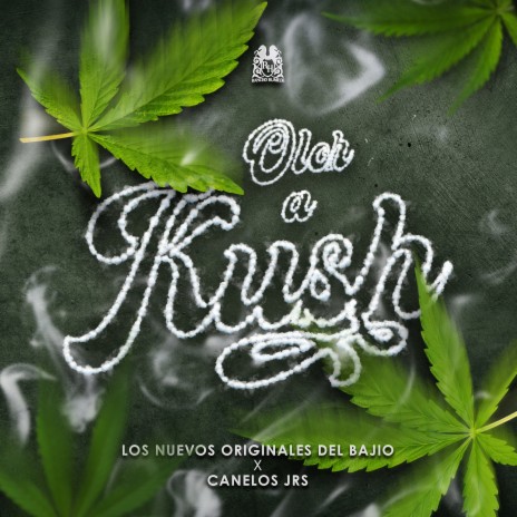 Olor A Kush | Boomplay Music