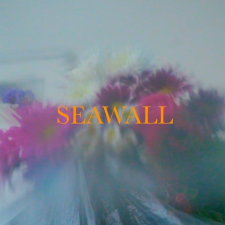 Seawall | Boomplay Music