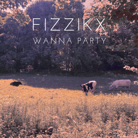 Wanna Party (Instrumental Mix) | Boomplay Music