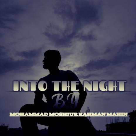 Into the Night | Boomplay Music