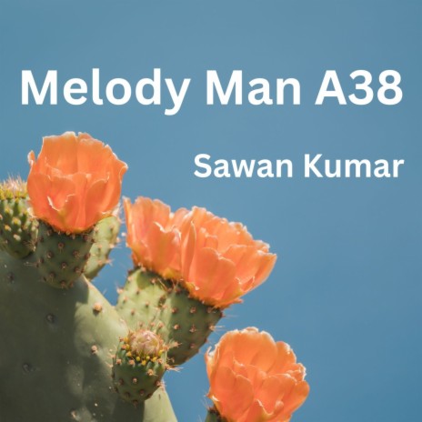 Melody Man A38 | Boomplay Music