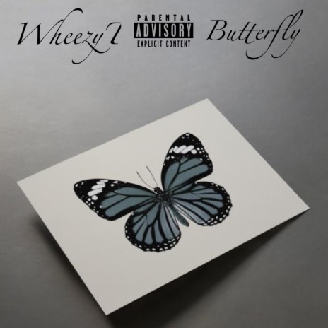 Butterflys | Boomplay Music