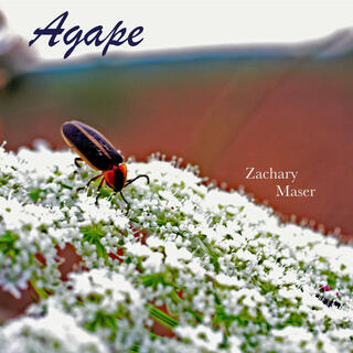 Agape